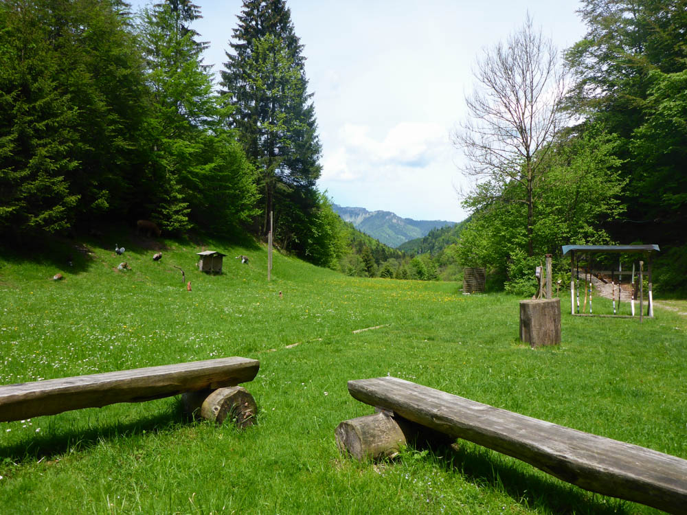Parcours des BSC Kaiserwinkl in Kössen in Tirol (Quelle: Sebastian Spirkl, 2016)