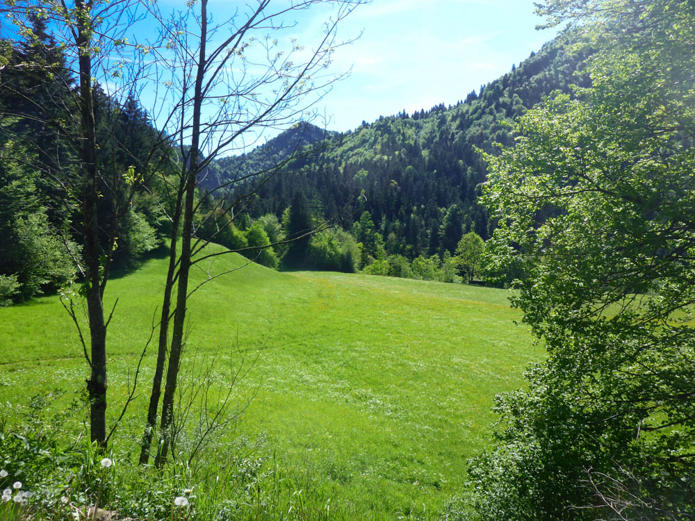 Parcours des BSC Kaiserwinkl in Kössen in Tirol (Quelle: Sebastian Spirkl, 2016)