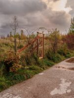 20171022_Zaun_001